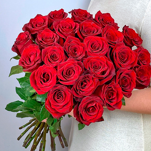Букет 25 роз красных (60см)