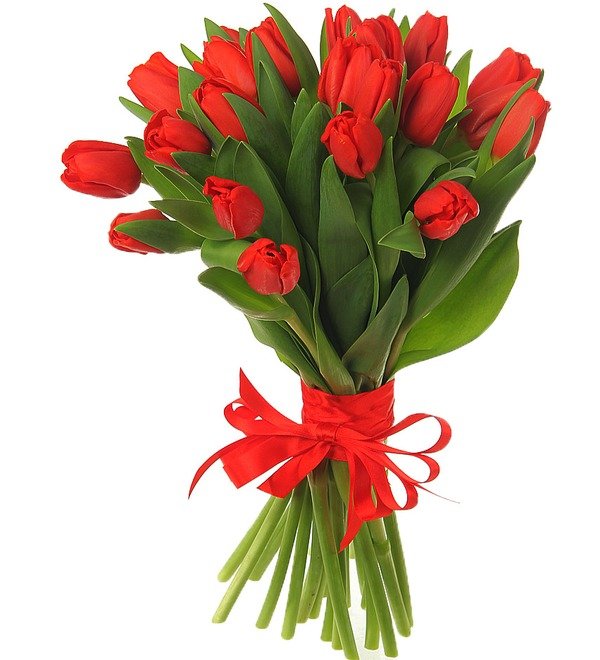 Букет Красный тюльпан
